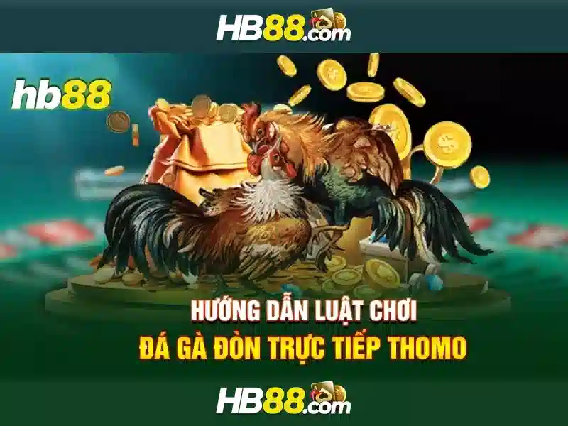 https://dnabet.blog/images/text/hb88/hb88-text2603121850.webp