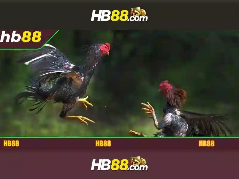 HB88: Nền tảng cá cược trực tuyến và những điều cần biết