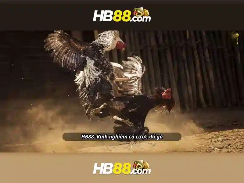 https://dnabet.blog/images/text/hb88/hb88-text2603122181.webp