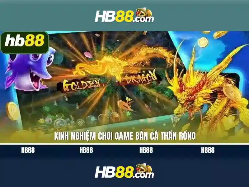 HB88: Nền tảng cá cược trực tuyến và những đặc điểm nổi bật