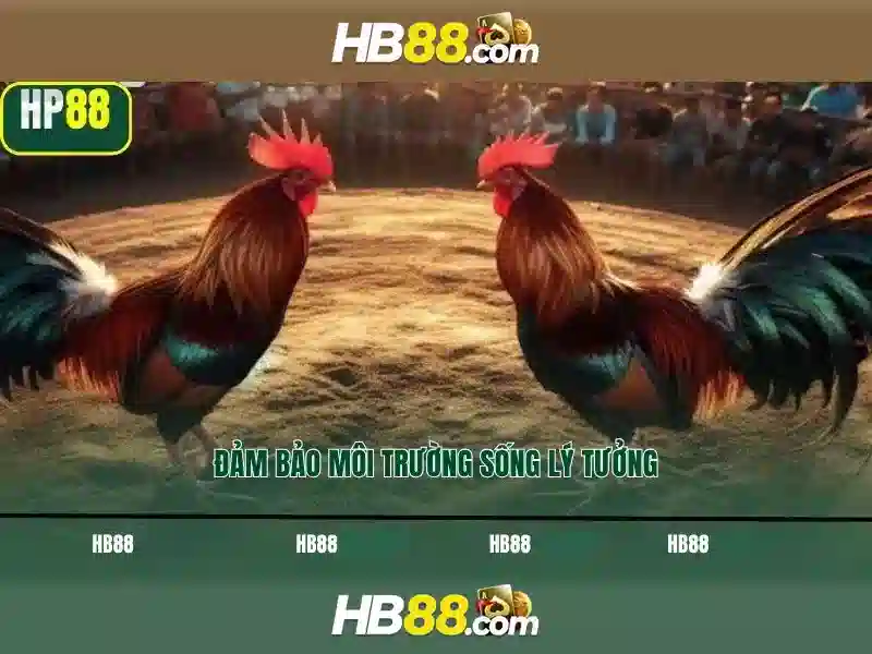 https://dnabet.blog/images/text/hb88/hb88-text2603122215.webp