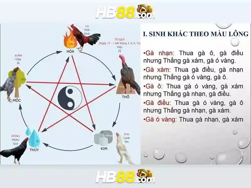 hb88: Tổng quan về nền tảng trò chơi trực tuyến