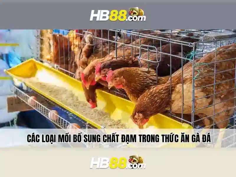 link đăng nhập hb88 - Khám phá cơ hội và trải nghiệm an toàn
