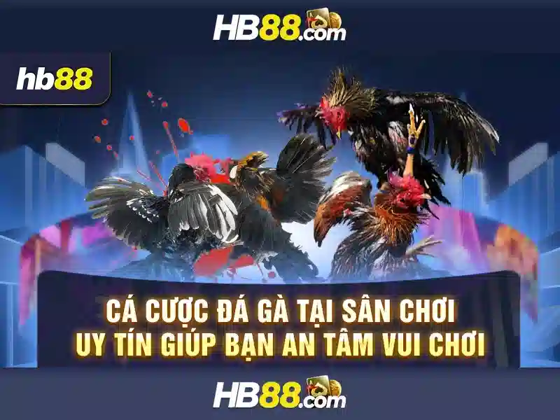https://dnabet.blog/images/text/hb88/hb88-text2603123728.webp