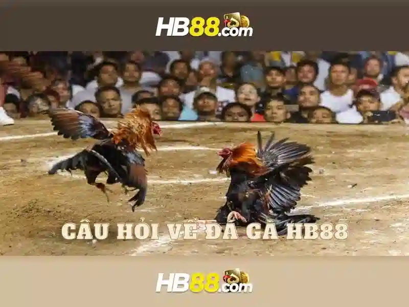 hb88: Nền tảng trò chơi trực tuyến hiện đại và an toàn