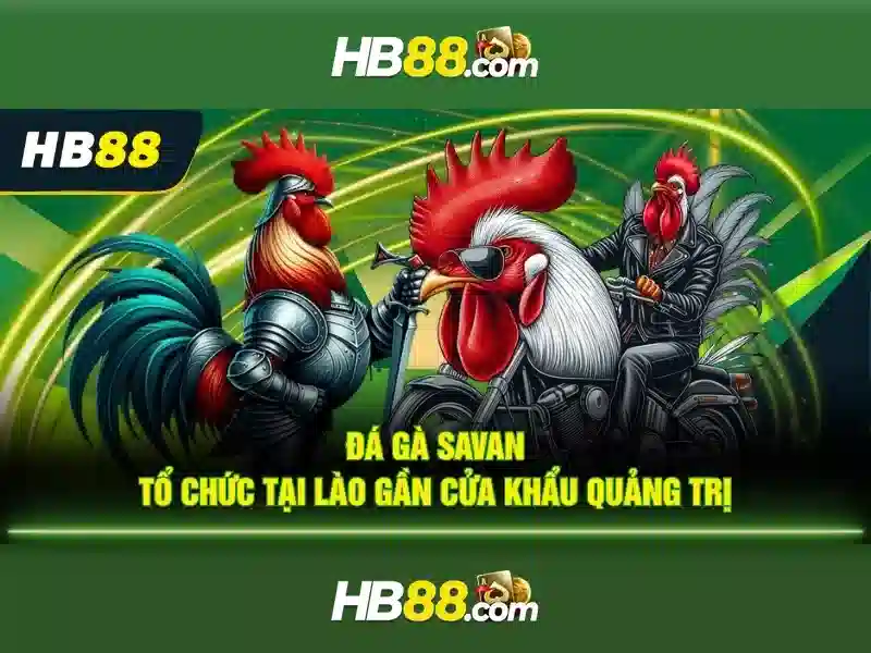 https://dnabet.blog/images/text/hb88/hb88-text2603301164.webp