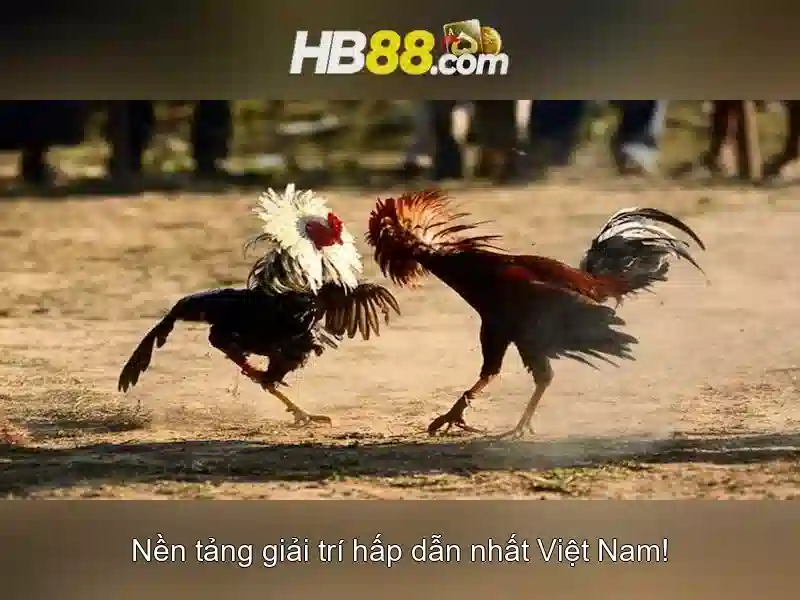 https://dnabet.blog/images/text/hb88/hb88-text2603311077.webp