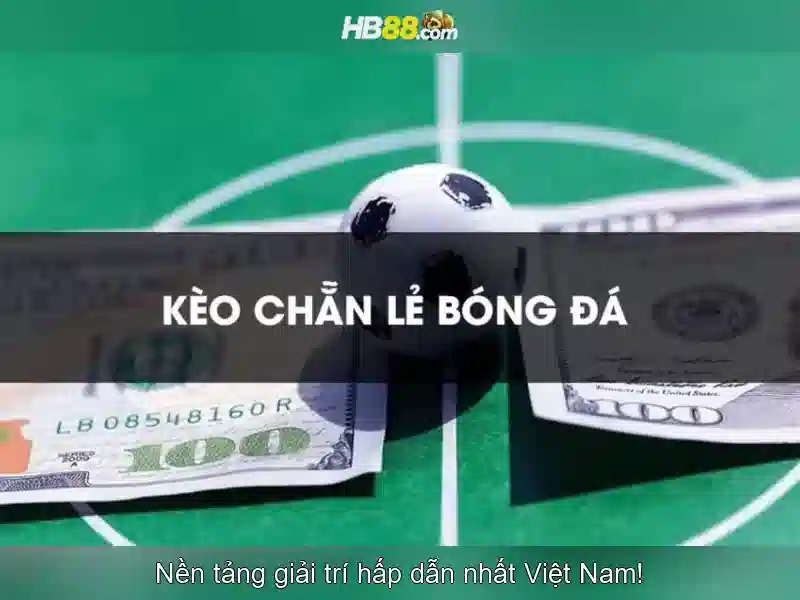 hb88: Nền tảng cược trực tuyến phổ biến và những điều cần biết