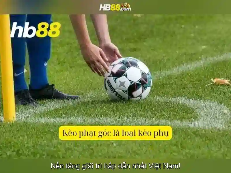 https://dnabet.blog/images/text/hb88/hb88-text2603311428.webp