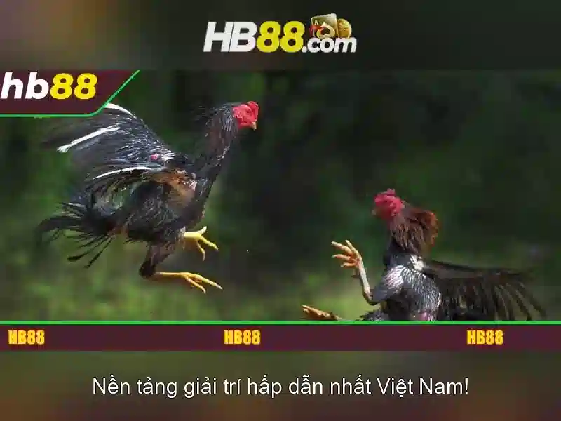 https://dnabet.blog/images/text/hb88/hb88-text2603311657.webp