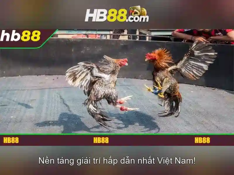 https://dnabet.blog/images/text/hb88/hb88-text2603312140.webp