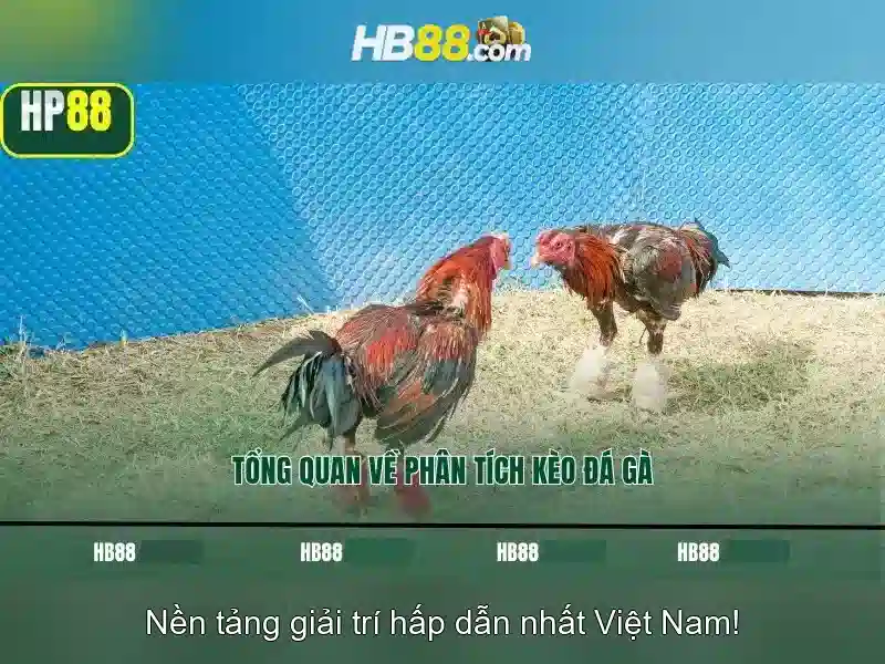 hack chiêu liên quân - Đỉnh cao của cá cược, thách thức lòng ...
