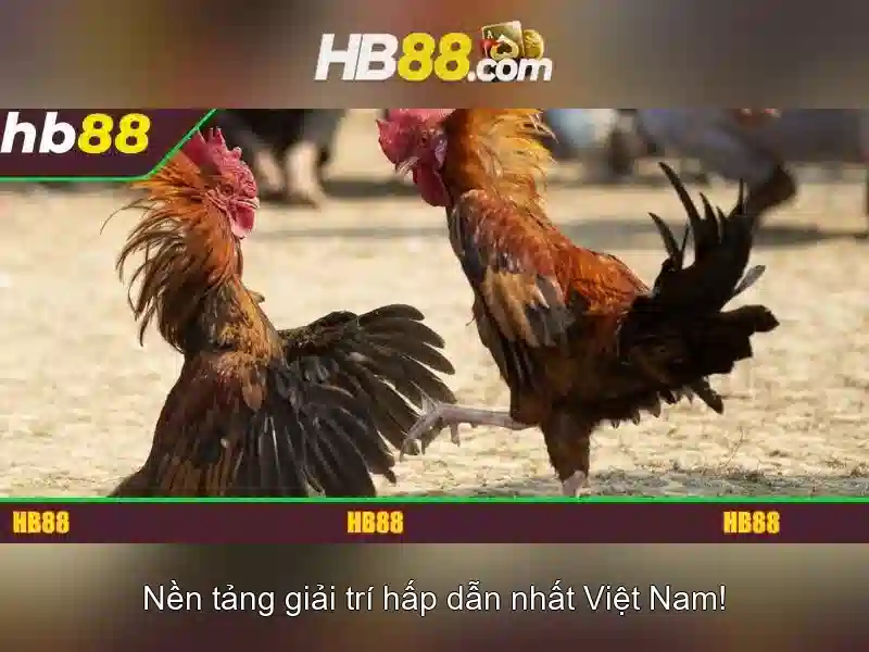https://dnabet.blog/images/text/hb88/hb88-text2603314006.webp