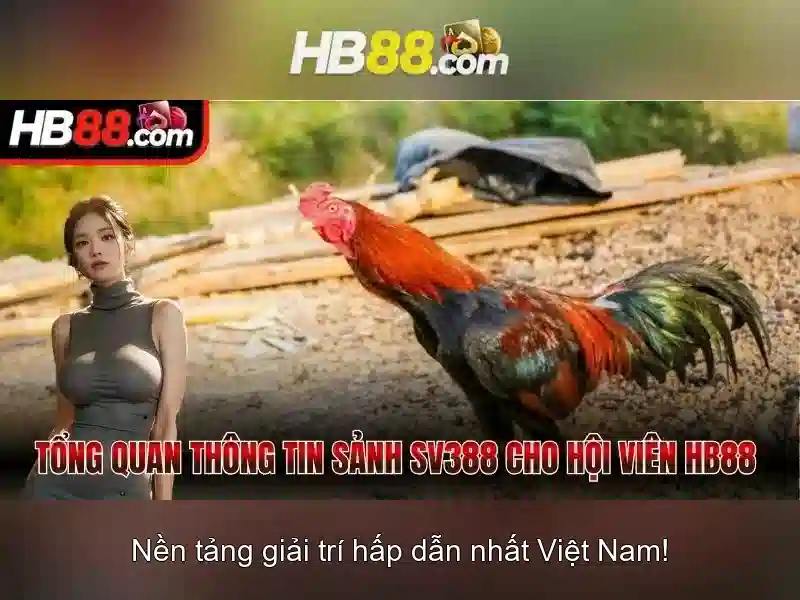 HB88: Tổng quan về nền tảng giải trí trực tuyến