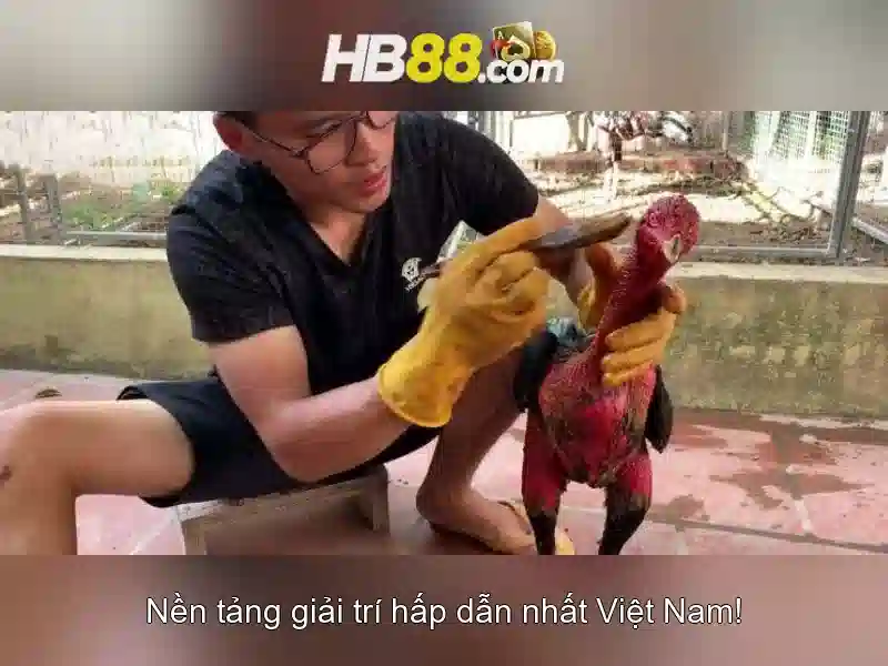 https://dnabet.blog/images/text/hb88/hb88-text2603315669.webp