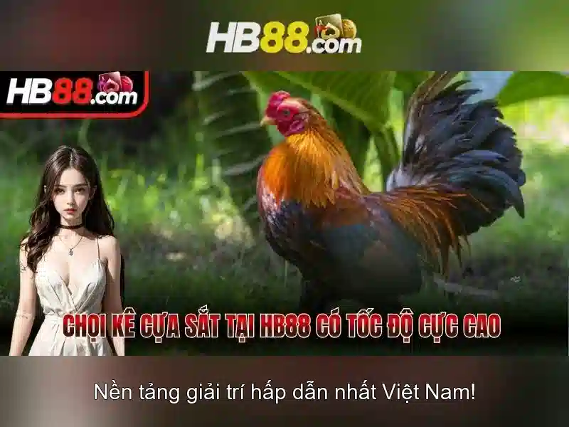 https://dnabet.blog/images/text/hb88/hb88-text2603316962.webp