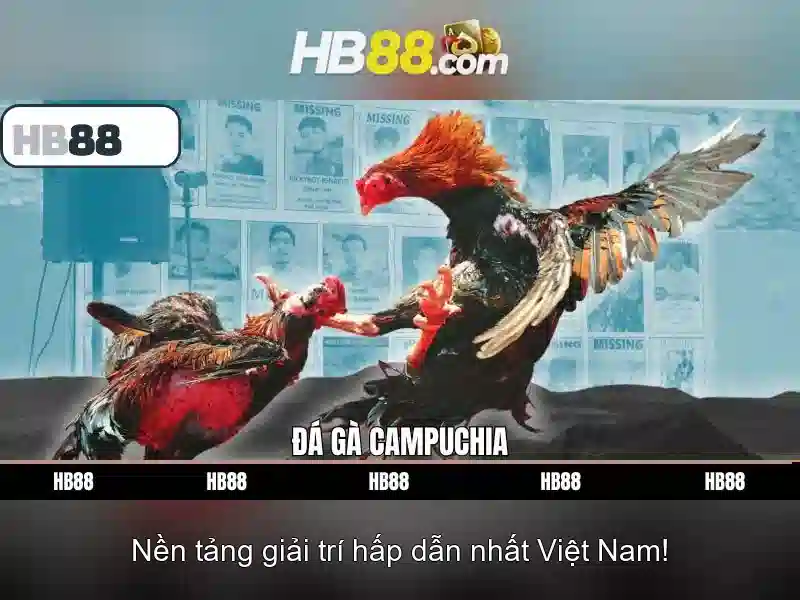 https://dnabet.blog/images/text/hb88/hb88-text2603317136.webp