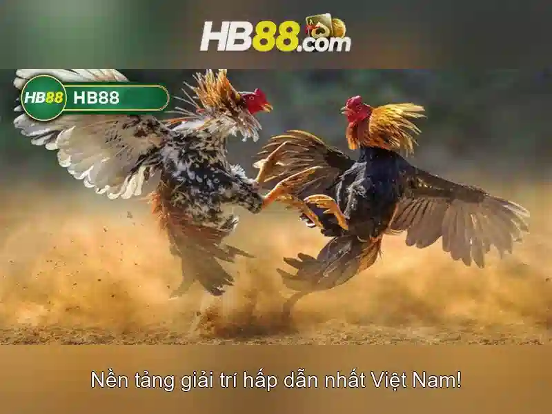 https://dnabet.blog/images/text/hb88/hb88-text2603317179.webp