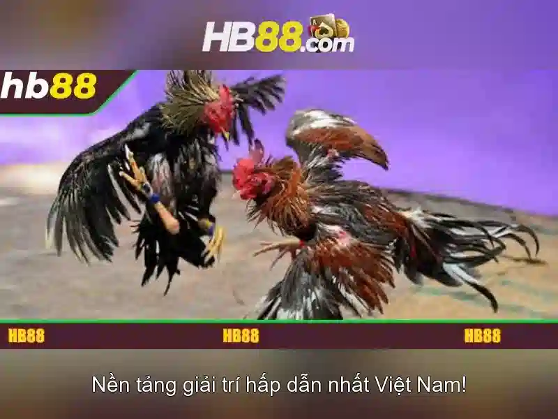 HB88: Tổng quan và cách tham gia nền tảng cá cược trực tuyến