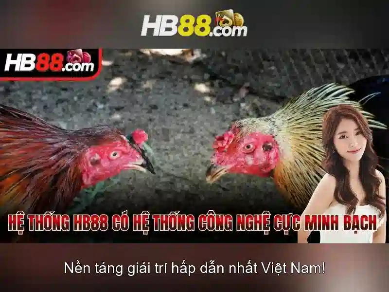 https://dnabet.blog/images/text/hb88/hb88-text260331867.webp